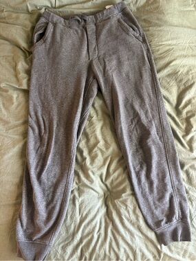 Patagonia Heather Gray Mahnya Sweatpants